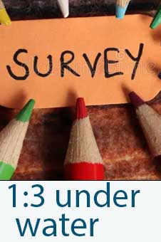 Survey: 1 in 3 Canadians carry credit card balances